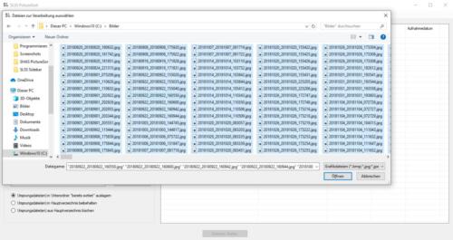 SLSS PictureSort - Auswahl aller Dateien innerhalb eines Verzeichnis
