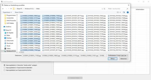 SLSS PictureSort - Auswahl von einzelnen Dateien innerhalb eines Verzeichnis